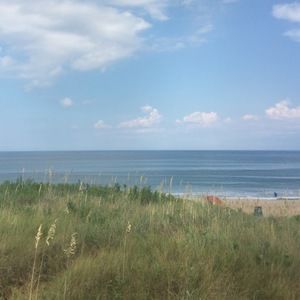 Meet your Posher, Marsha